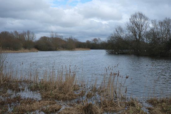 Linford Lakes Nature Reserve
